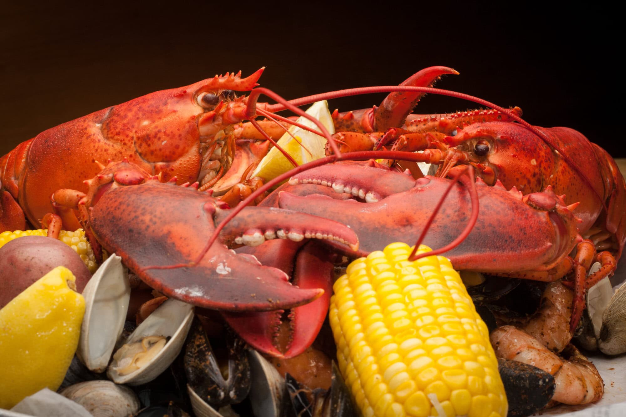 Lobster Trap Curbside Lobster Trap Asheville,NC